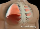 EMT - Chest Trauma - DVD or USB