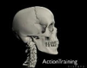 EMT - Spine Injuries - DVD or USB