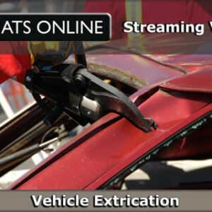 vehicle_ex_556275138